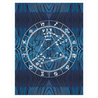 Star Chart Sherpa Blanket in Venus Vibes + Custom Astrology Book - Birthday Predictions Solar Return Report | Astrological birth chart analysis, cosmic clothing & home goods!