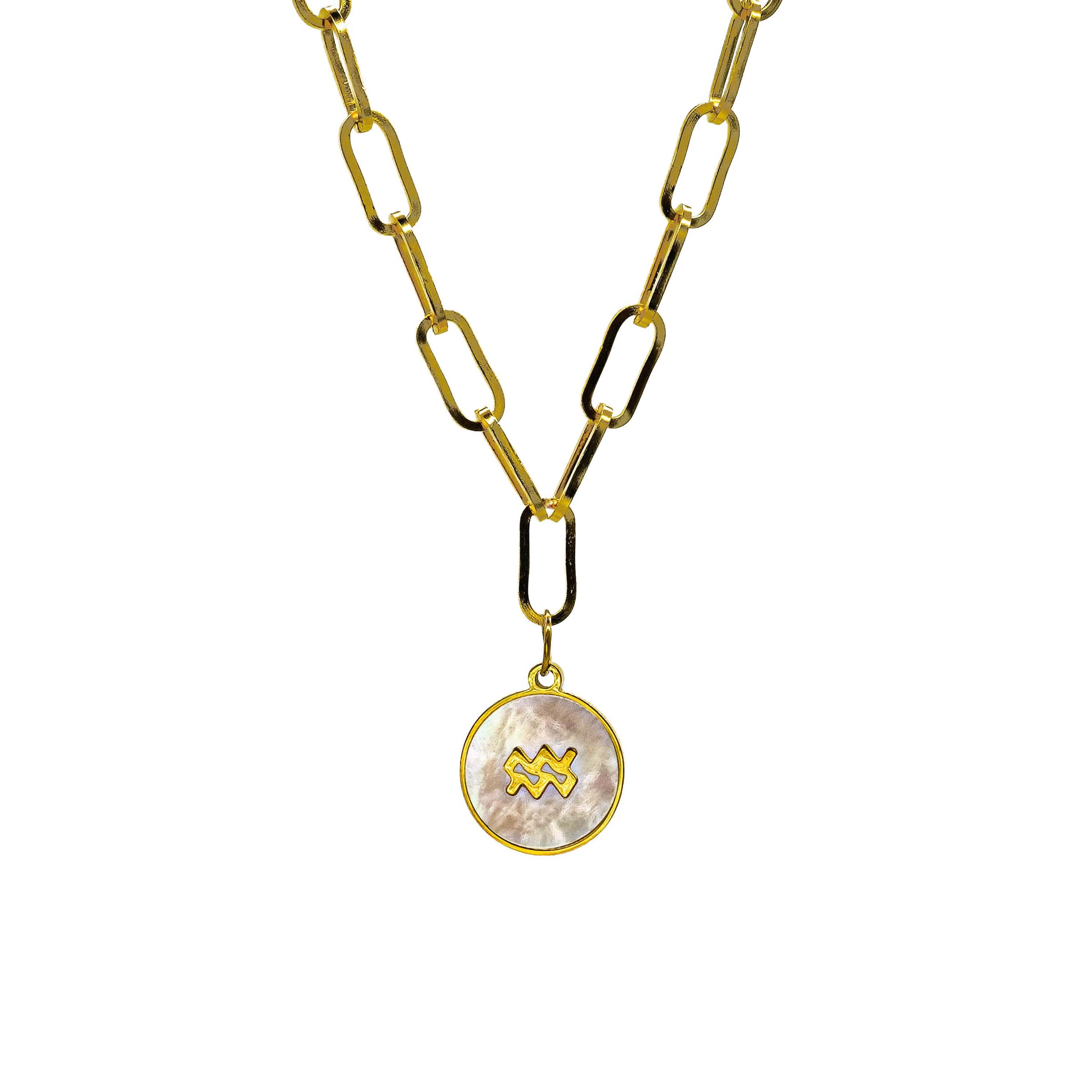 Starborn Patterns 18k Gold Plated Stainless Steel Zodiac Sign Astrology Paperclip Chain Necklace with Abalone Aquarius Charm Pendant
