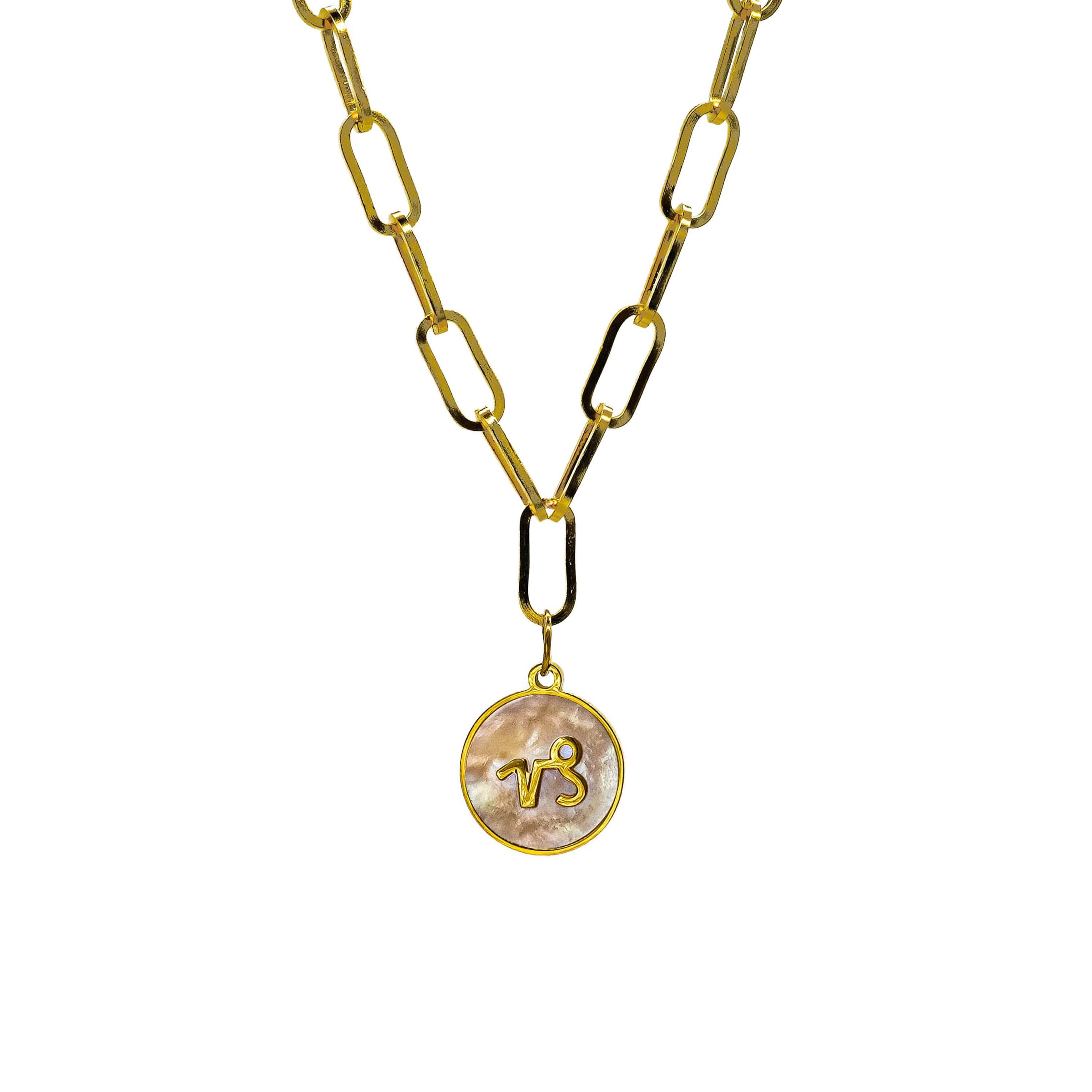 Starborn Patterns 18k Gold Plated Stainless Steel Zodiac Sign Astrology Paperclip Chain Necklace with Abalone Capricorn Charm Pendant