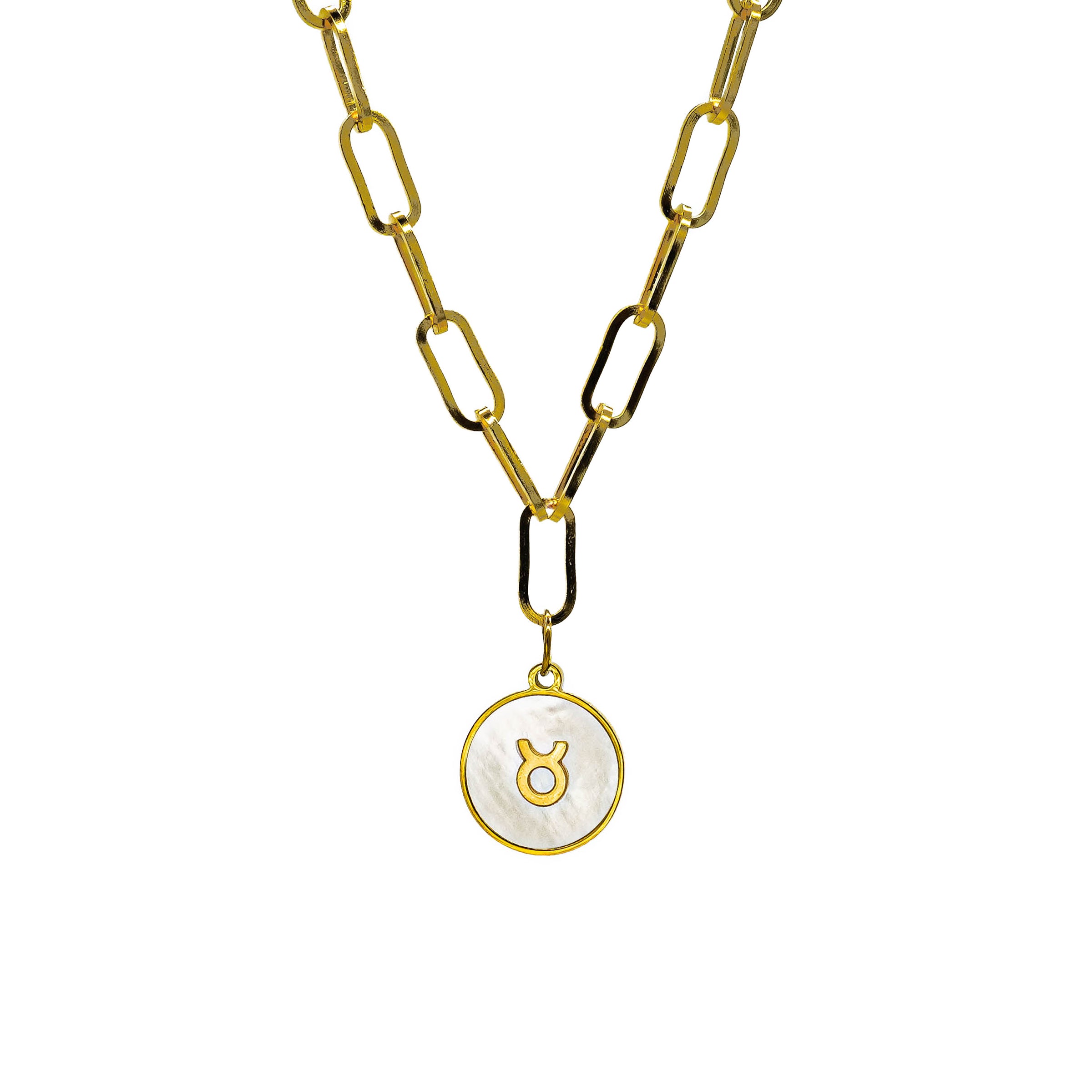 Starborn Patterns 18k Gold Plated Stainless Steel Zodiac Sign Astrology Paperclip Chain Necklace with Abalone Taurus Charm Pendant