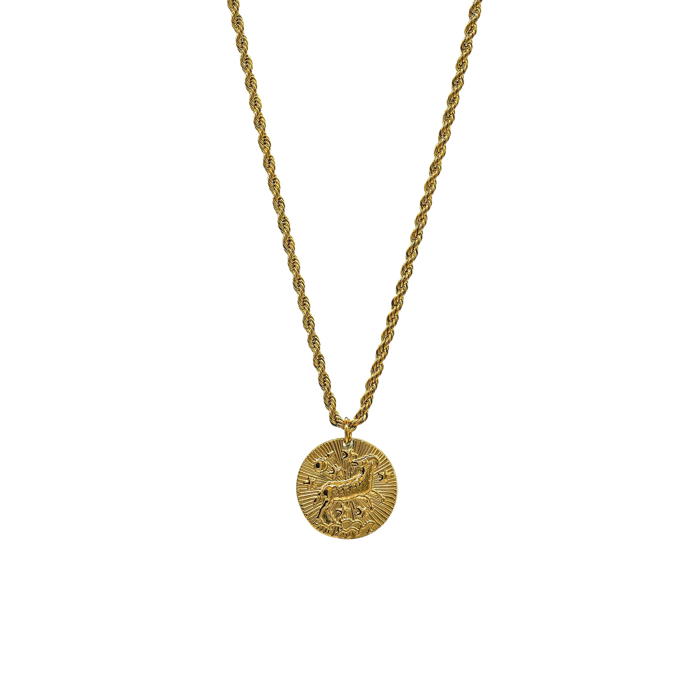 Starborn Patterns 18k Gold Plated Stainless Steel Zodiac Sign Astrology Rope Chain Necklace with Constellation Aries Charm Pendant