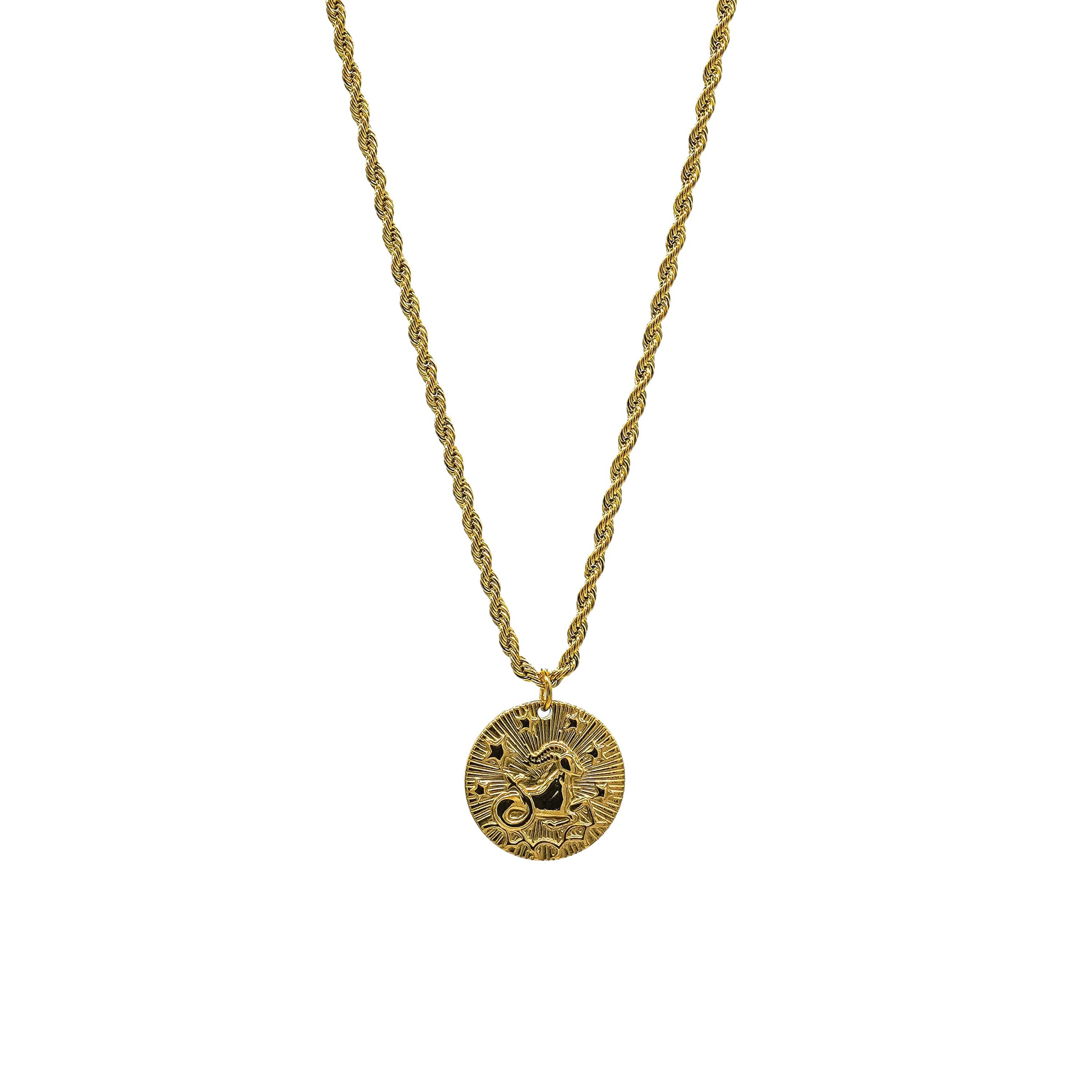Starborn Patterns 18k Gold Plated Stainless Steel Zodiac Sign Astrology Rope Chain Necklace with Constellation Capricorn Charm Pendant