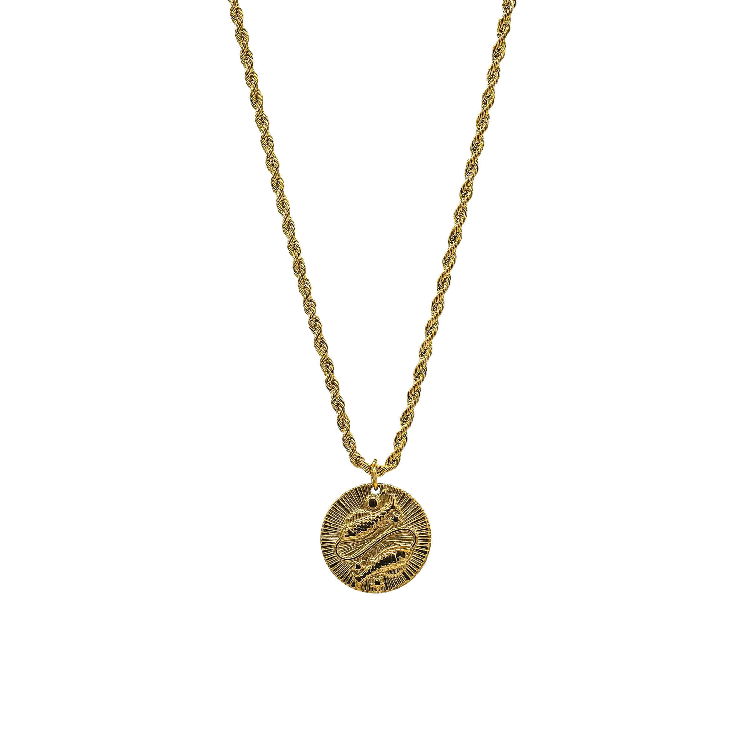 Starborn Patterns 18k Gold Plated Stainless Steel Zodiac Sign Astrology Rope Chain Necklace with Constellation Pisces Charm Pendant