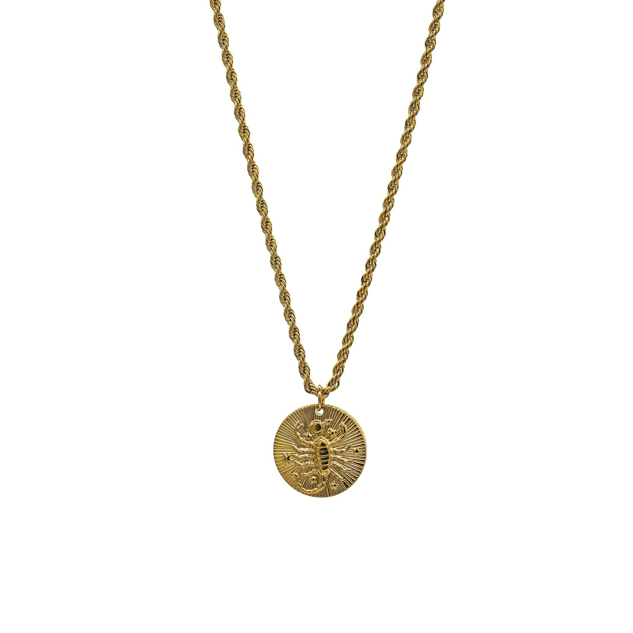 Starborn Patterns 18k Gold Plated Stainless Steel Zodiac Sign Astrology Rope Chain Necklace with Constellation Scorpio Charm Pendant