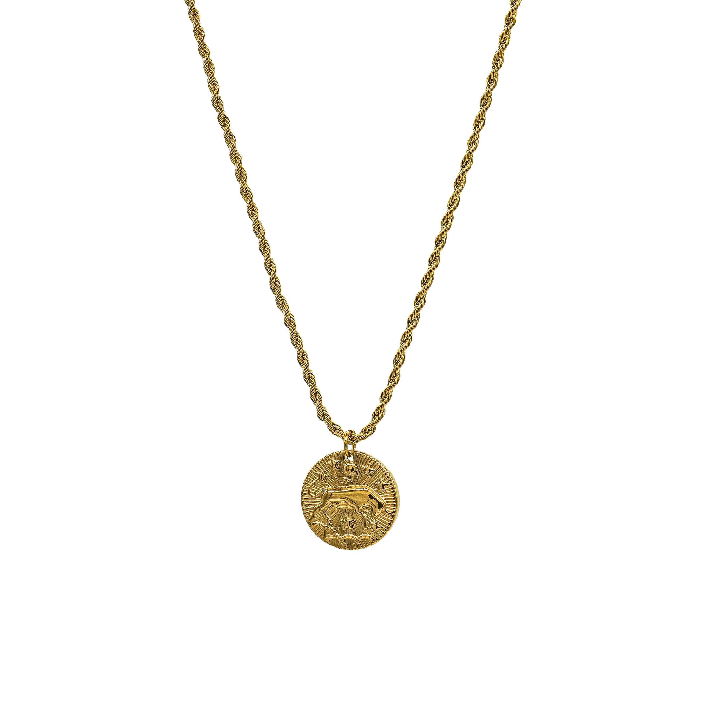 Starborn Patterns 18k Gold Plated Stainless Steel Zodiac Sign Astrology Rope Chain Necklace with Constellation Taurus Charm Pendant